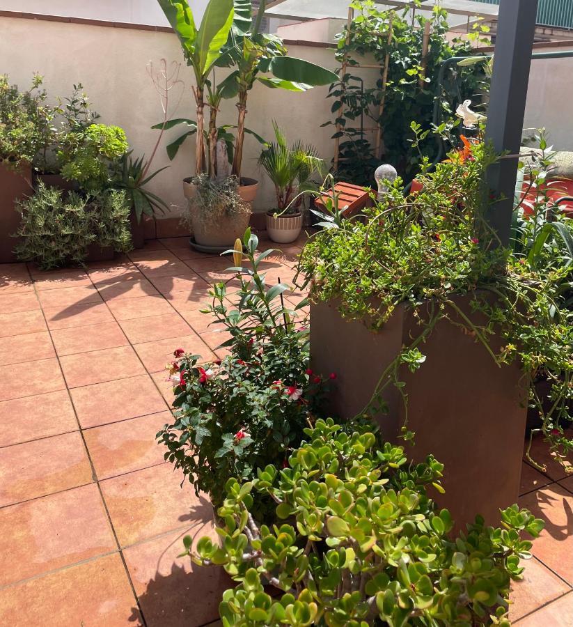 Figueres Center Apartment Exterior photo