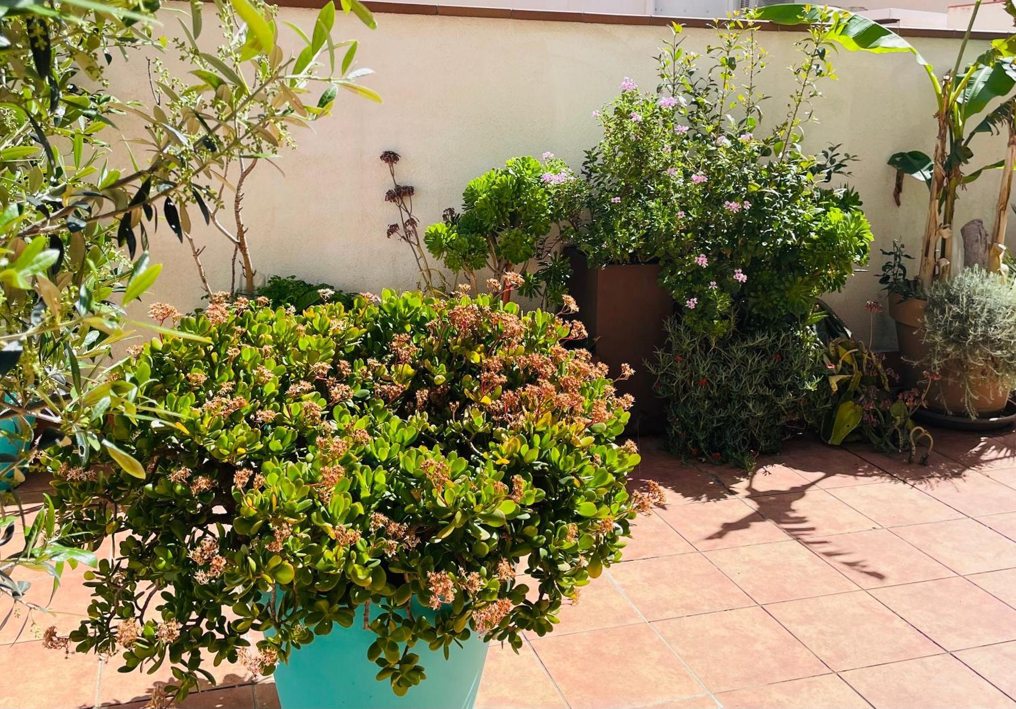 Figueres Center Apartment Exterior photo